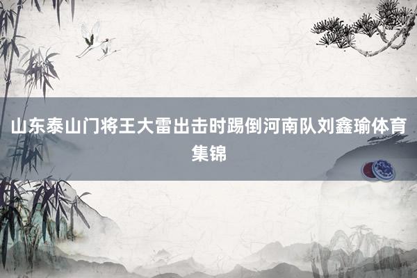 山东泰山门将王大雷出击时踢倒河南队刘鑫瑜体育集锦