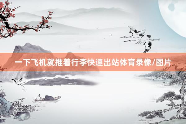 一下飞机就推着行李快速出站体育录像/图片