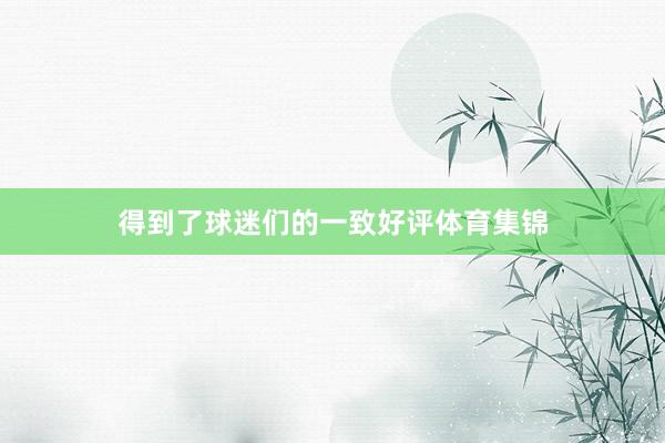 得到了球迷们的一致好评体育集锦