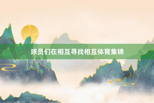 球员们在相互寻找相互体育集锦