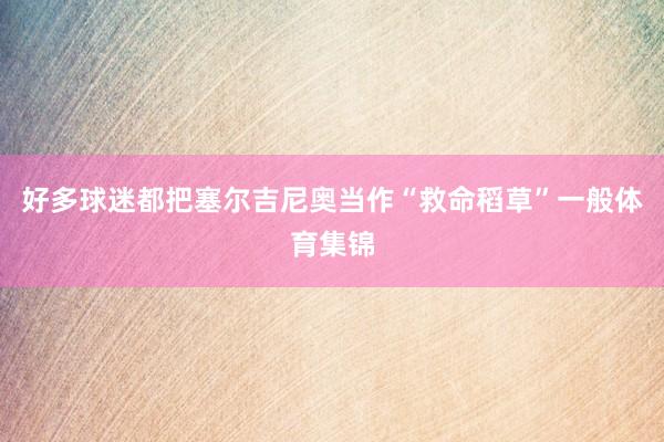 好多球迷都把塞尔吉尼奥当作“救命稻草”一般体育集锦