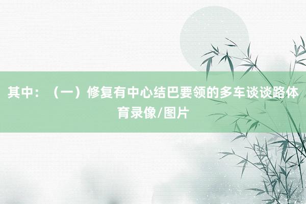 其中：（一）修复有中心结巴要领的多车谈谈路体育录像/图片
