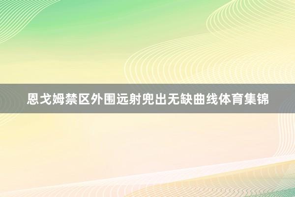 恩戈姆禁区外围远射兜出无缺曲线体育集锦