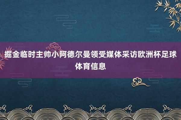 掘金临时主帅小阿德尔曼领受媒体采访欧洲杯足球体育信息