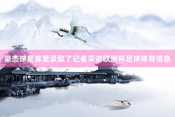 豪杰球星库里汲取了记者采访欧洲杯足球体育信息