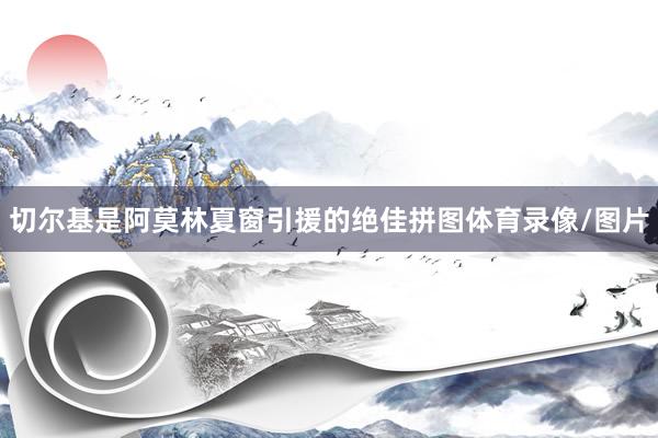 切尔基是阿莫林夏窗引援的绝佳拼图体育录像/图片