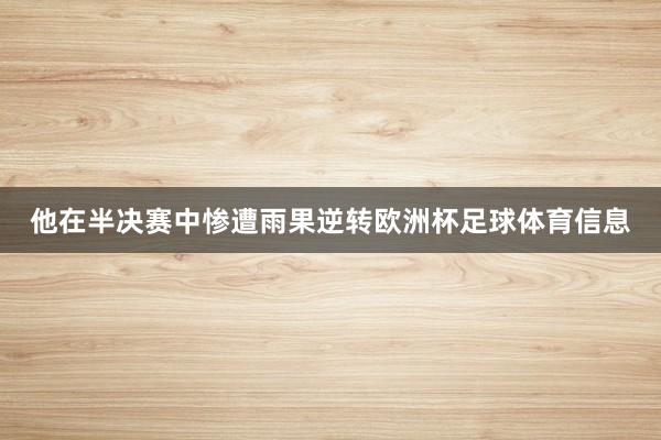 他在半决赛中惨遭雨果逆转欧洲杯足球体育信息