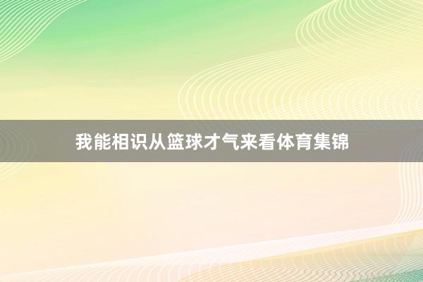 我能相识从篮球才气来看体育集锦