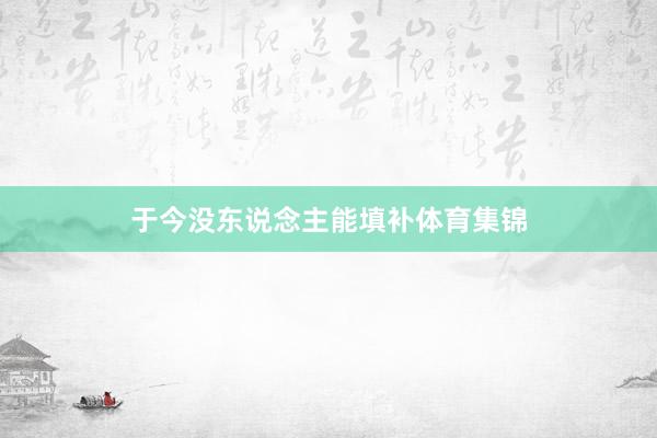 于今没东说念主能填补体育集锦