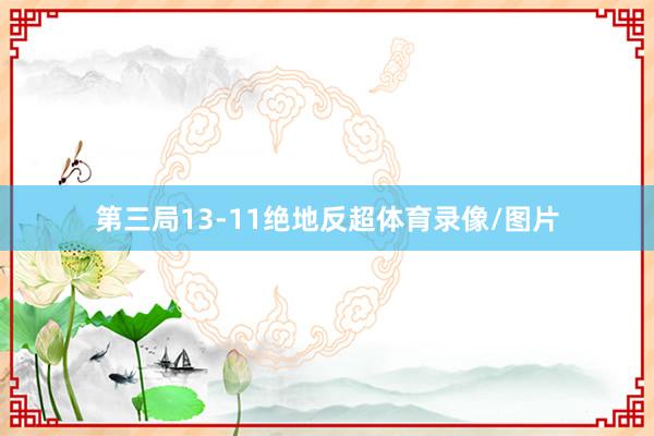 第三局13-11绝地反超体育录像/图片