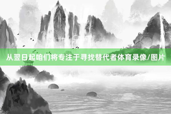 从翌日起咱们将专注于寻找替代者体育录像/图片