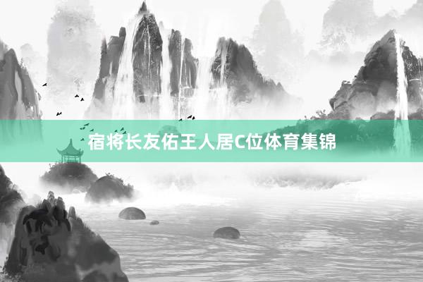 宿将长友佑王人居C位体育集锦