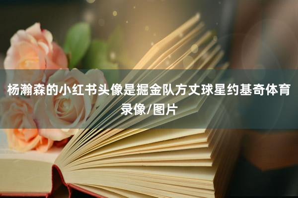 杨瀚森的小红书头像是掘金队方丈球星约基奇体育录像/图片