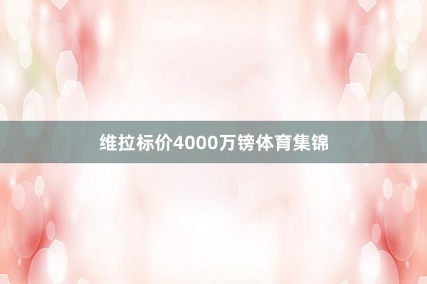 维拉标价4000万镑体育集锦