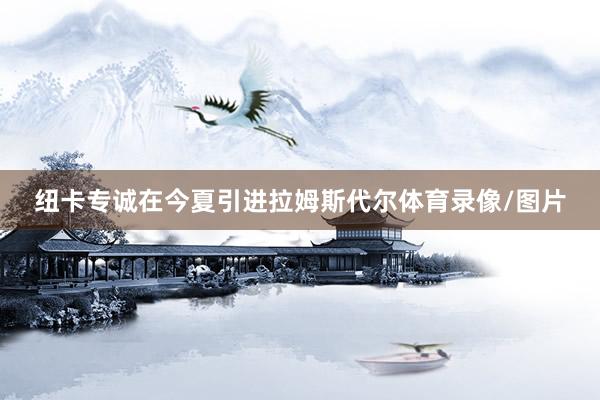 纽卡专诚在今夏引进拉姆斯代尔体育录像/图片