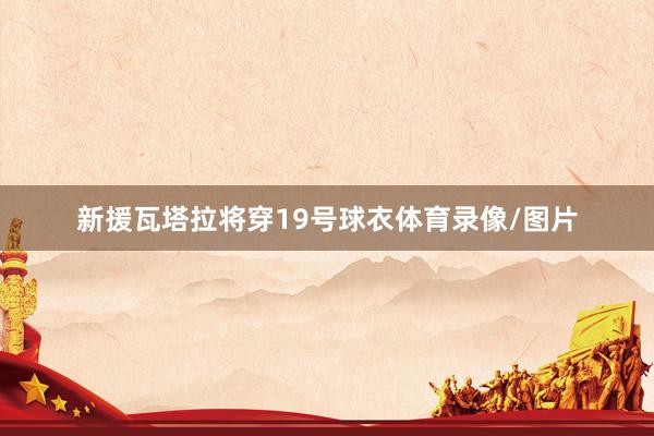 新援瓦塔拉将穿19号球衣体育录像/图片