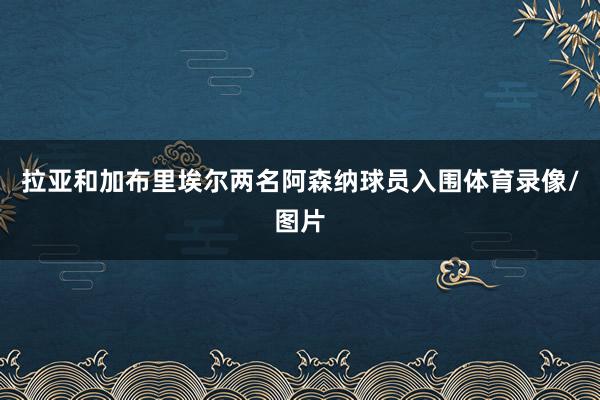 拉亚和加布里埃尔两名阿森纳球员入围体育录像/图片