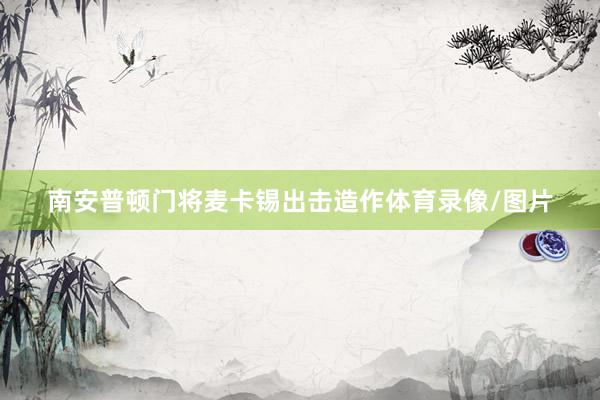 南安普顿门将麦卡锡出击造作体育录像/图片