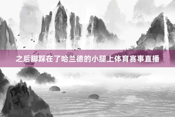 之后脚踩在了哈兰德的小腿上体育赛事直播