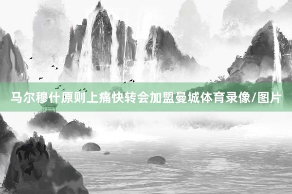 马尔穆什原则上痛快转会加盟曼城体育录像/图片