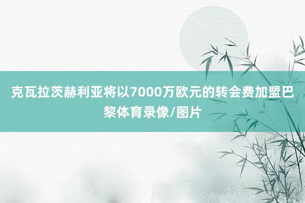 克瓦拉茨赫利亚将以7000万欧元的转会费加盟巴黎体育录像/图片