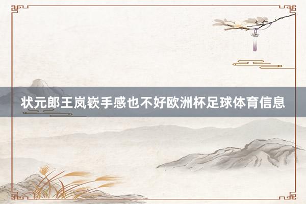 状元郎王岚嵚手感也不好欧洲杯足球体育信息