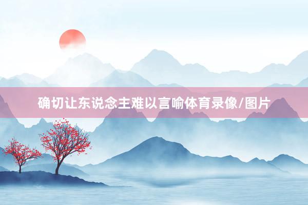 确切让东说念主难以言喻体育录像/图片