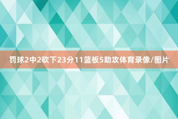 罚球2中2砍下23分11篮板5助攻体育录像/图片