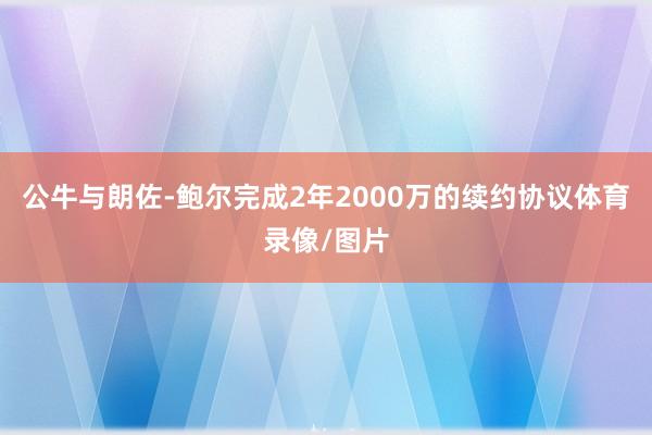 公牛与朗佐-鲍尔完成2年2000万的续约协议体育录像/图片