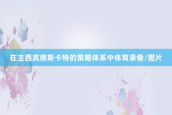 在主西宾穆斯卡特的策略体系中体育录像/图片