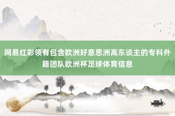 网易红彩领有包含欧洲好意思洲高东谈主的专科外籍团队欧洲杯足球体育信息