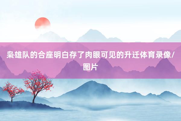 枭雄队的合座明白存了肉眼可见的升迁体育录像/图片