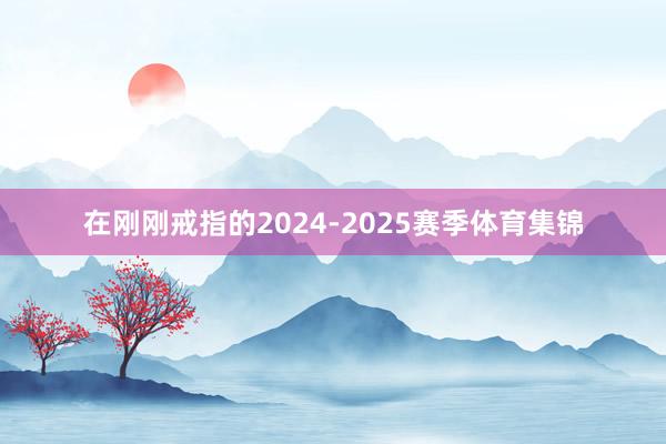 在刚刚戒指的2024-2025赛季体育集锦