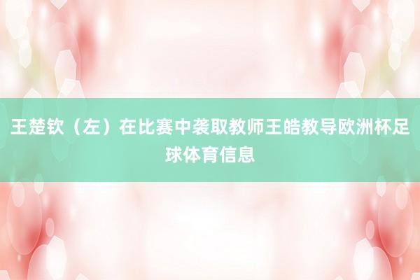 王楚钦(左)在比赛中袭取教师王皓教导欧洲杯足球体育信息
